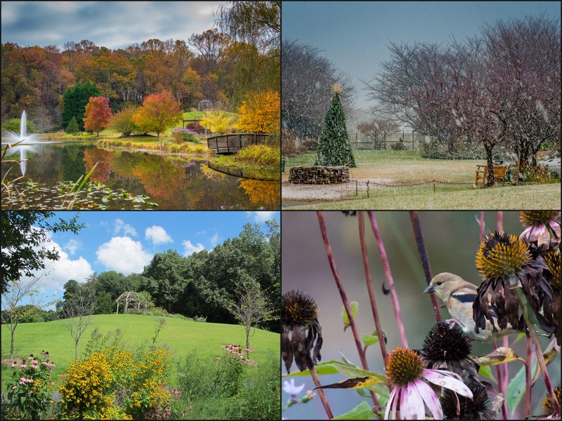 Meadowlark Botanical Gardens Dc Gardens