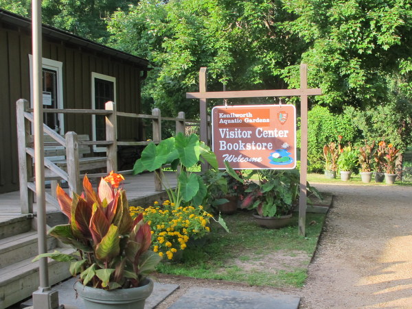 Kenilworth Aquatic Gardens – DC Gardens